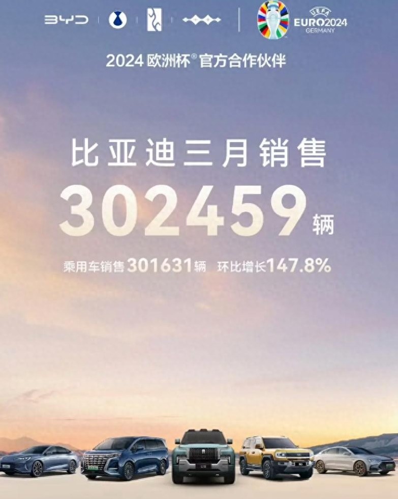 中国销冠 比亚迪2025年1月销售30万台